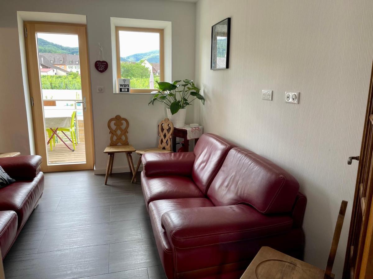Alsacebnb - Gite 12 Personnes Dans Le Vignoble - Piscine Privee & Spa أمرشفير المظهر الخارجي الصورة