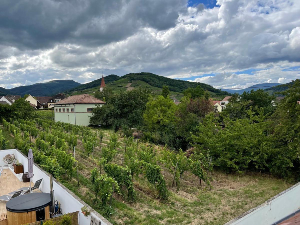 Alsacebnb - Gite 12 Personnes Dans Le Vignoble - Piscine Privee & Spa أمرشفير المظهر الخارجي الصورة